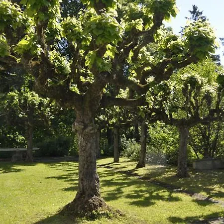 Szálloda Schoenegg 3*